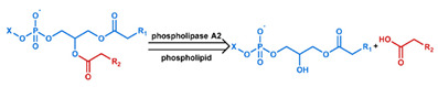 graphic file with name nanomaterials-11-00746-i038.jpg