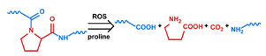 graphic file with name nanomaterials-11-00746-i032.jpg