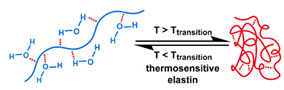 graphic file with name nanomaterials-11-00746-i055.jpg