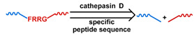 graphic file with name nanomaterials-11-00746-i044.jpg