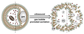 graphic file with name nanomaterials-11-00746-i081.jpg