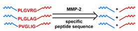 graphic file with name nanomaterials-11-00746-i041.jpg