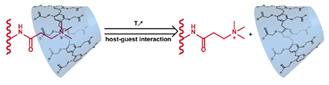 graphic file with name nanomaterials-11-00746-i062.jpg