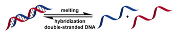 graphic file with name nanomaterials-11-00746-i060.jpg