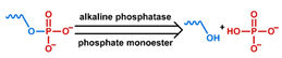 graphic file with name nanomaterials-11-00746-i039.jpg