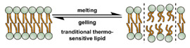 graphic file with name nanomaterials-11-00746-i057.jpg