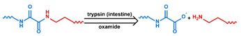 graphic file with name nanomaterials-11-00746-i049.jpg