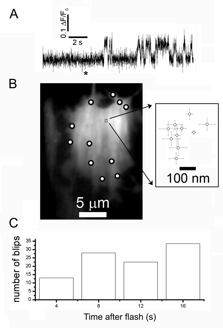 Fig. 4