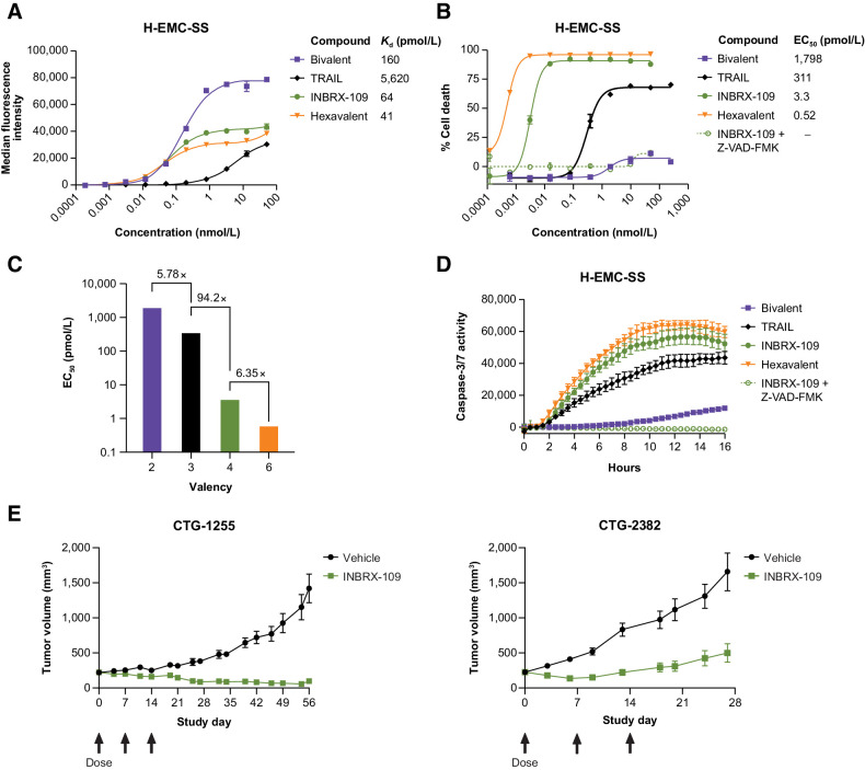 Figure 2. In vitro and in vivo antitumor activity. A, Representative dose-dependent binding of bivalent, trivalent (TRAIL), tetravalent (INBRX-109), and hexavalent anti-DR5 molecules on H-EMC-SS chondrosarcoma cells. B, Impact of valency on H-EMC-SS cell death. Death of H-EMC-SS cells 16 hours after treatment with the indicated concentrations of molecules of increasing valency was measured by CellTiter-Glo. Data were fit with a nonlinear four-parameter agonist concentration versus response curve, and calculated EC50 values are reported. Activity of INBRX-109 was assessed in the presence of the pan-caspase inhibitor Z-VAD-FMK. C, Impact of valency on potency. The fold improvement in potency from bivalent to trivalent, trivalent to tetravalent, and tetravalent to hexavalent is shown. D, Activation of caspase-3 and -7 in H-EMC-SS cells treated with bivalent, trivalent (TRAIL), tetravalent (INBRX-109), and hexavalent anti-DR5 molecules for the indicated durations of time was measured by real-time imaging on an Incucyte live cell imaging system. Activity of INBRX-109 was assessed in the presence or absence of the pan-caspase inhibitor Z-VAD-FMK. E, Tumor volume over time in animals harboring patient-derived chondrosarcoma tumors and treated with vehicle or INBRX-109 (1 mg/kg, i.v. once every week × 3 weeks starting on study day 0, as indicated by arrows). Each symbol represents the mean tumor volume of 8 animals, with error bars to denote SEM. Abbreviations: DR5, death receptor 5; Kd, equilibrium dissociation constant.