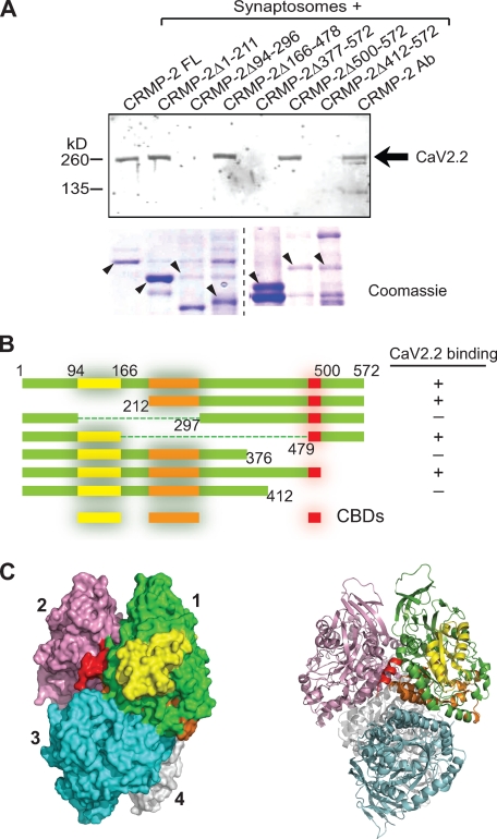 FIGURE 3.