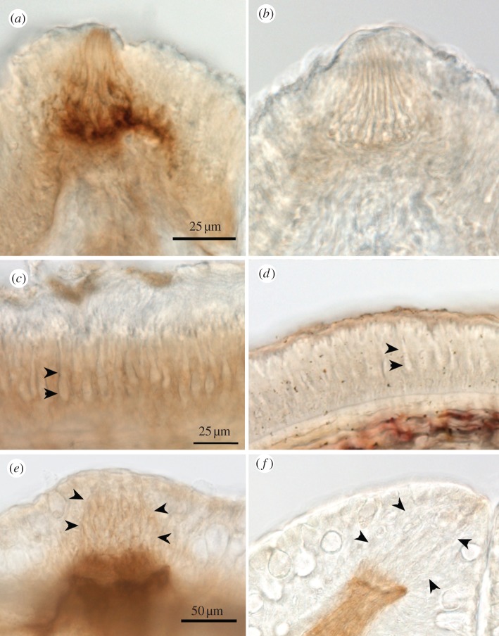 Figure 4.