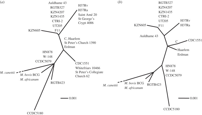 Figure 2.