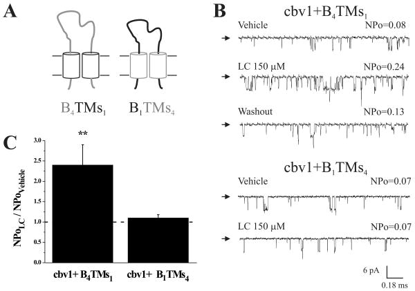 Fig. 3