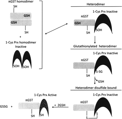 FIG. 9.