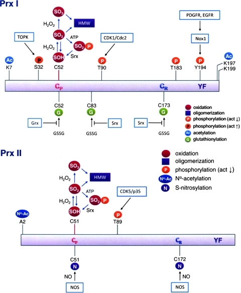 FIG. 7.