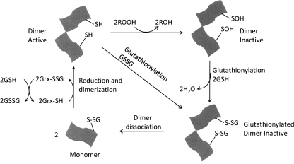 FIG. 10.