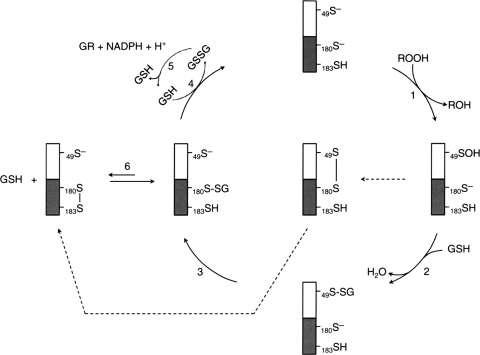 FIG. 8.