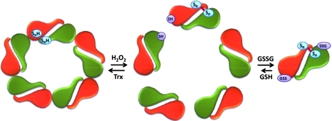 FIG. 6.