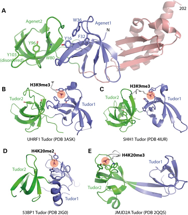 Figure 2.