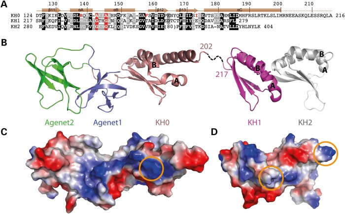 Figure 3.