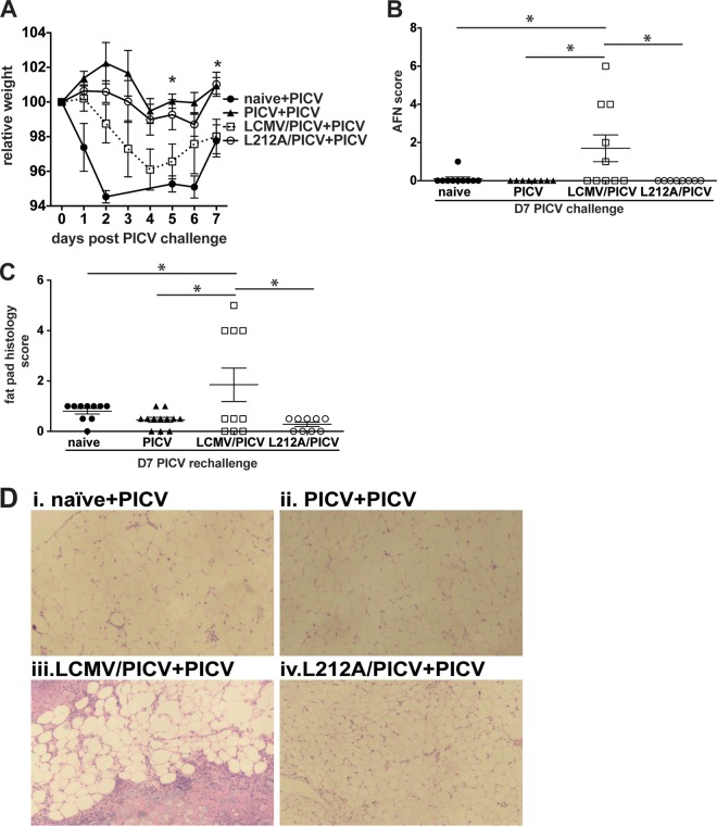 FIG 8