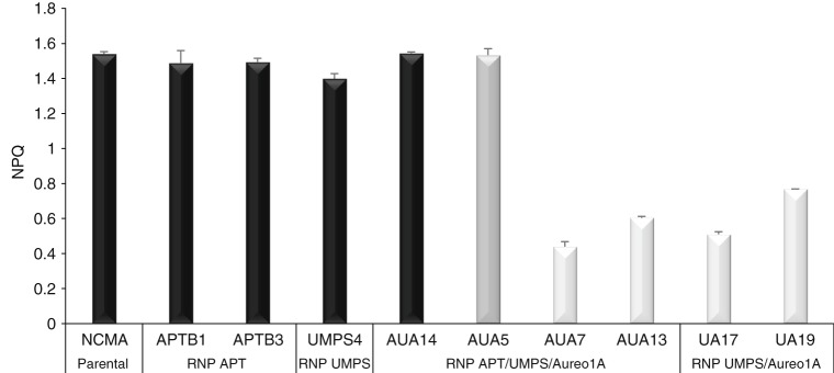 Fig. 6