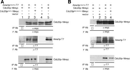 FIGURE 7: