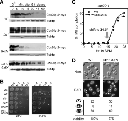 FIGURE 6: