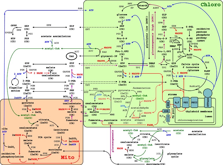 Fig 2