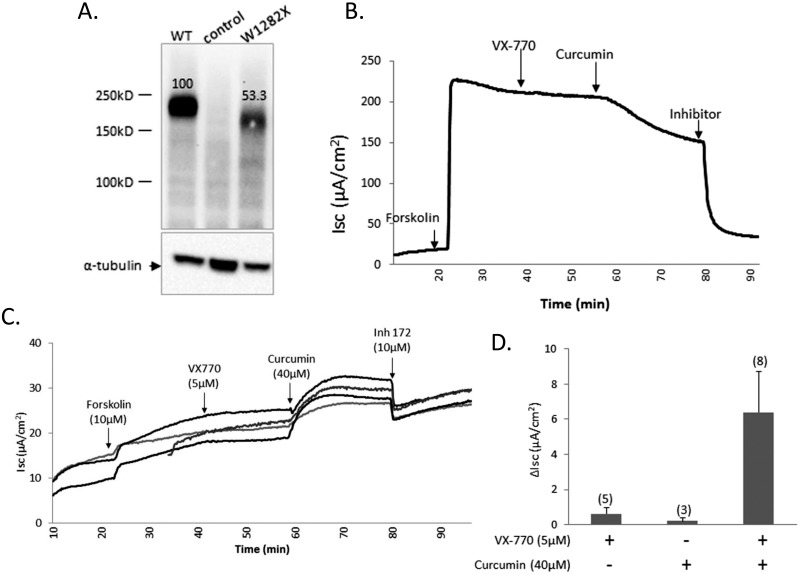 Fig 7