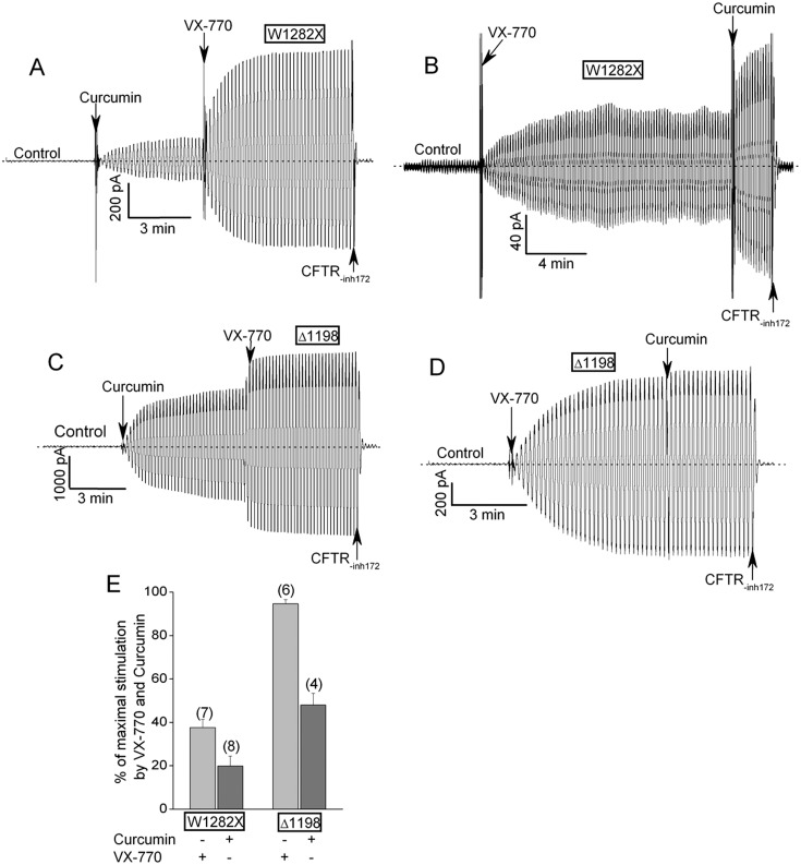 Fig 4