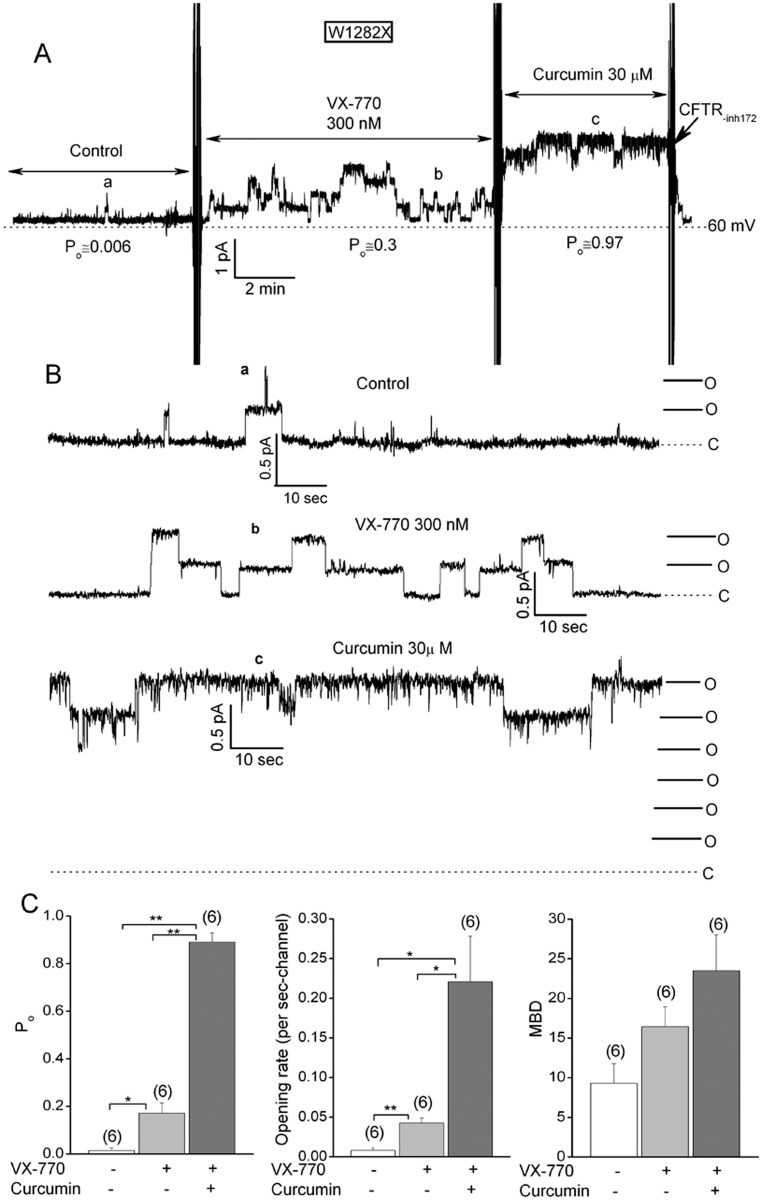 Fig 5