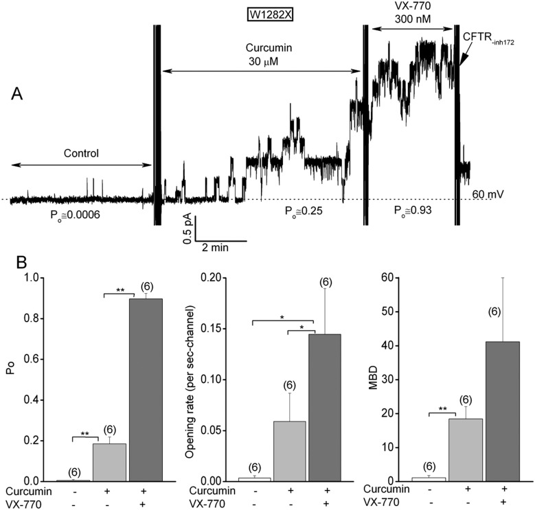 Fig 6