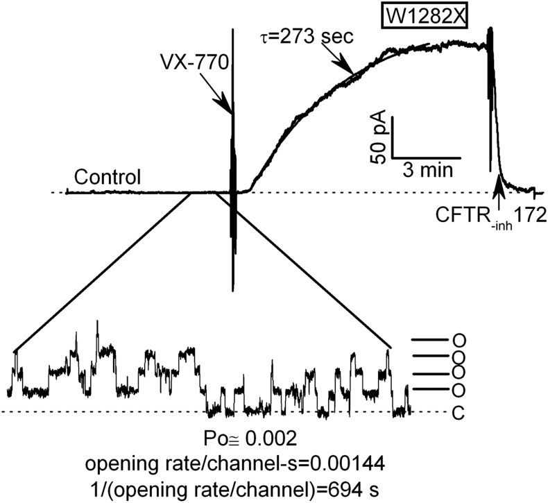 Fig 2