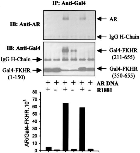 FIG. 7.