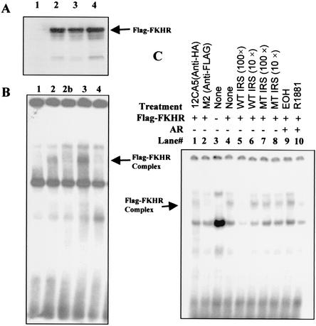 FIG. 8.