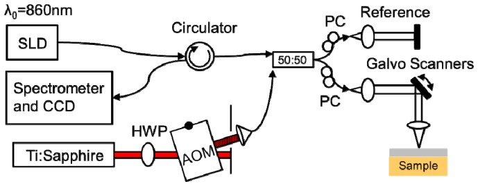 Fig. 2