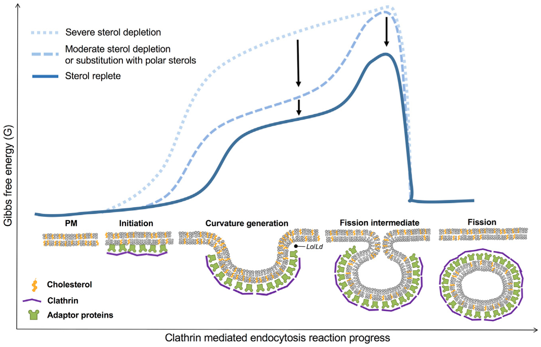 Figure 7.