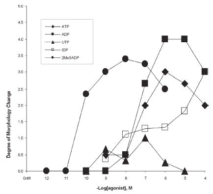 Fig. 9