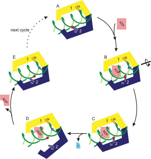 Figure 7.