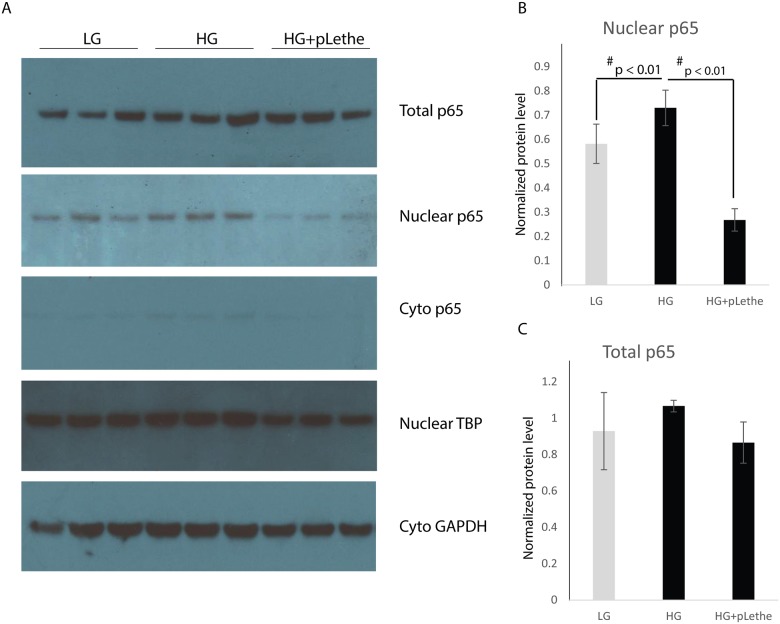 Fig 6