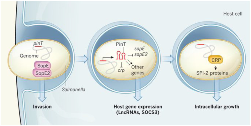 Figure 1: