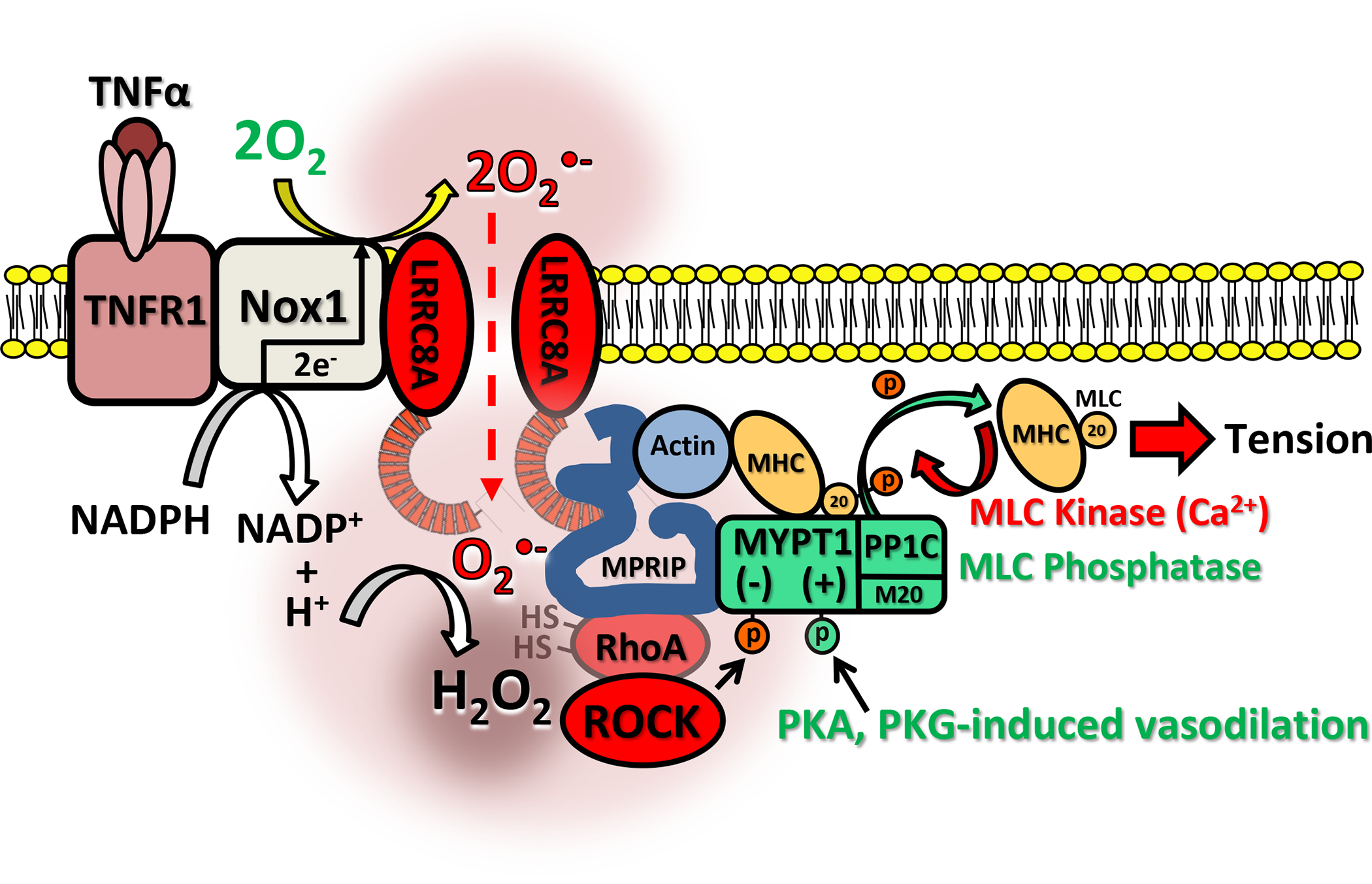 Figure 10.