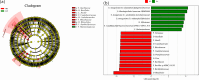 Fig 7