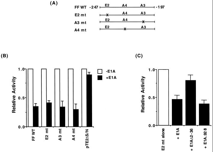 FIG. 1.