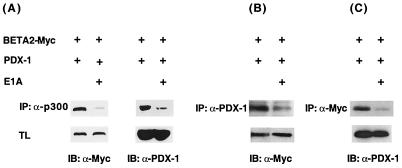 FIG. 8.