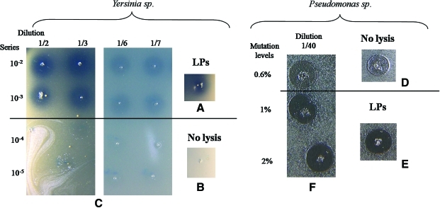 Figure 6.