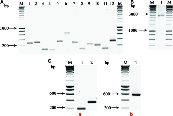 Figure 2.