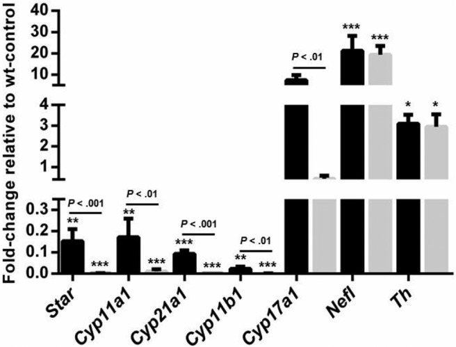 Figure 6.