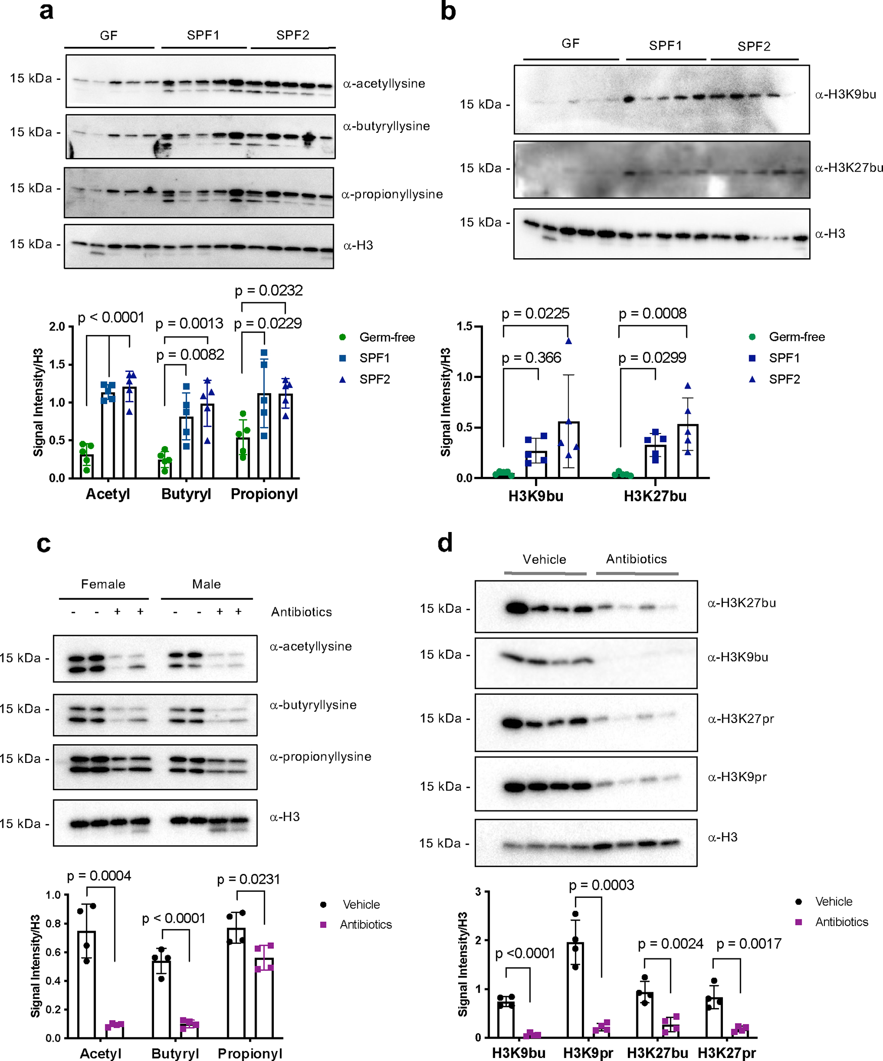 Fig. 2: